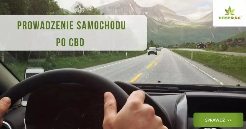 Czy CBD wpływa na zdolność prowadzenia samochodu? Sprawdź, zanim wsiądziesz za kierownicę!