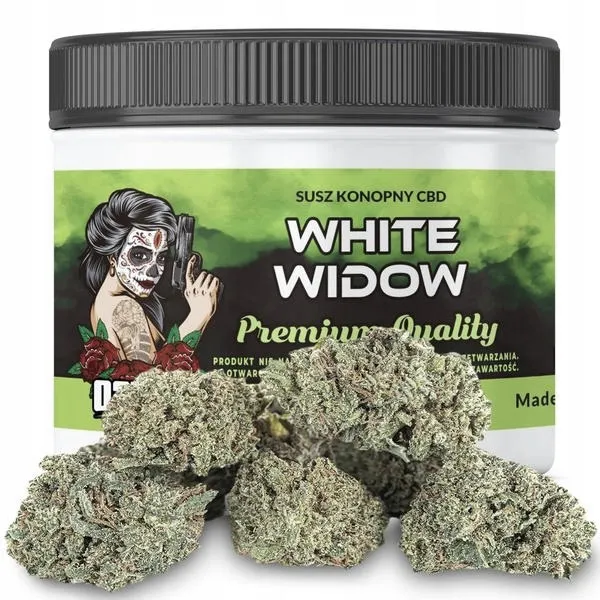 Czym kierować się przy wyborze najlepszych produktów CBD?