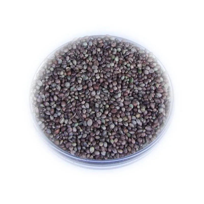 Gdzie kupić konopie na ryby? Zobacz najlepsze miejsca i oferty!