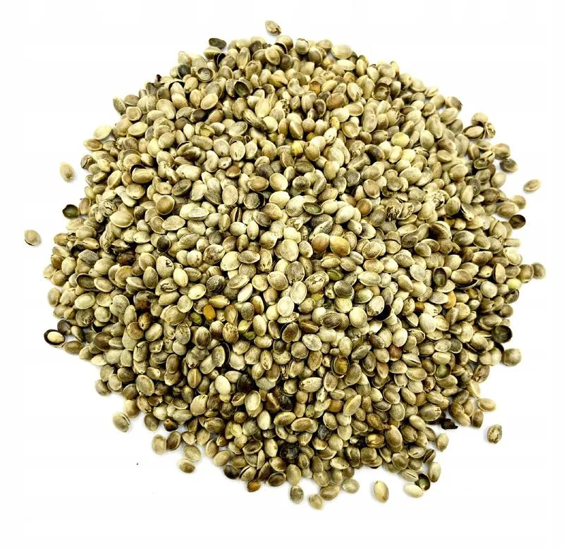 Gdzie kupić nasiona konopi łuskane: najlepsze źródła i porady zakupowe