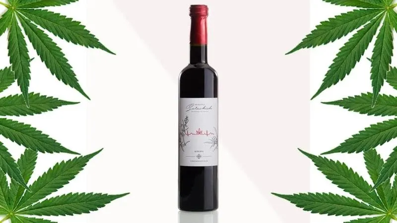 Gdzie kupić wino linia konopie – odkryj najlepsze miejsca na zakupy