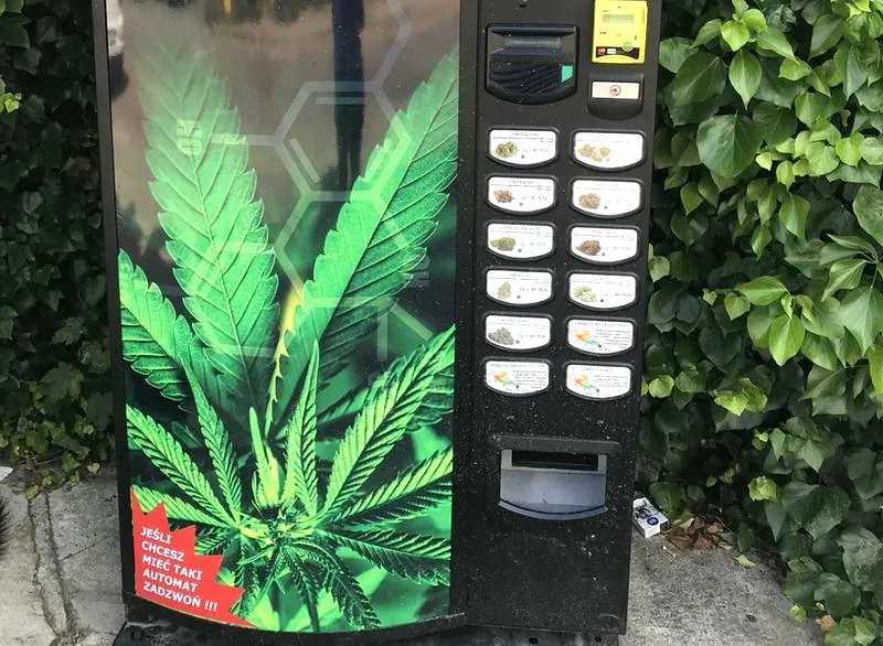 Ile kosztuje CBD w automacie? Przewodnik po cenach i dostępności