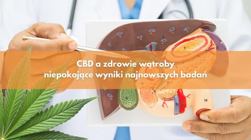 Ile kropel CBD dobra na zdrowie? Sprawdź nasze porady!