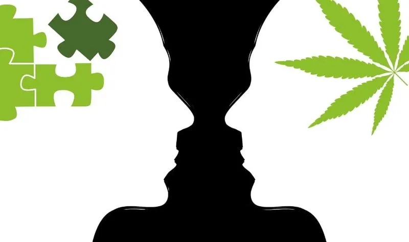 Jak cbd wpływa na funkcjonowanie mózgu i samopoczucie?