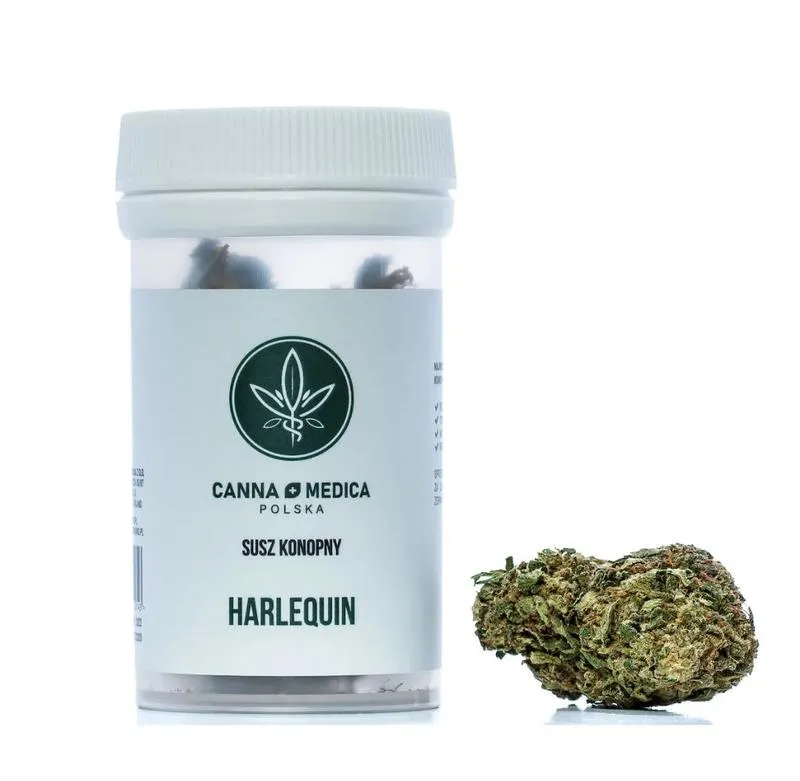 Jakie są możliwości sadzenia roślin CBD w Polsce?