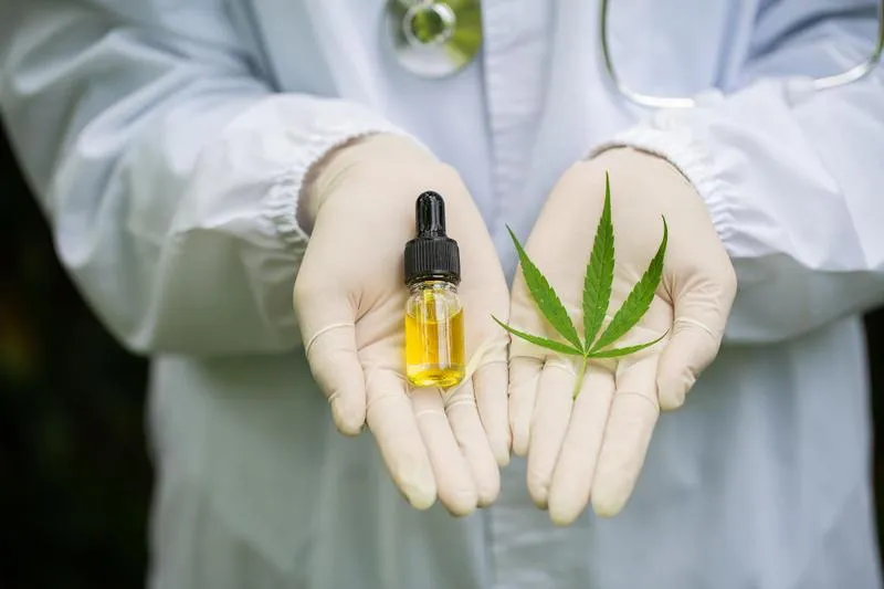 Nalewka z konopi – naturalne wsparcie dla zdrowia i dobre samopoczucie