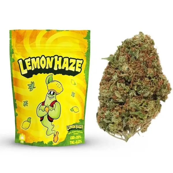 Susz CBD – na jakie dolegliwości może pomóc?