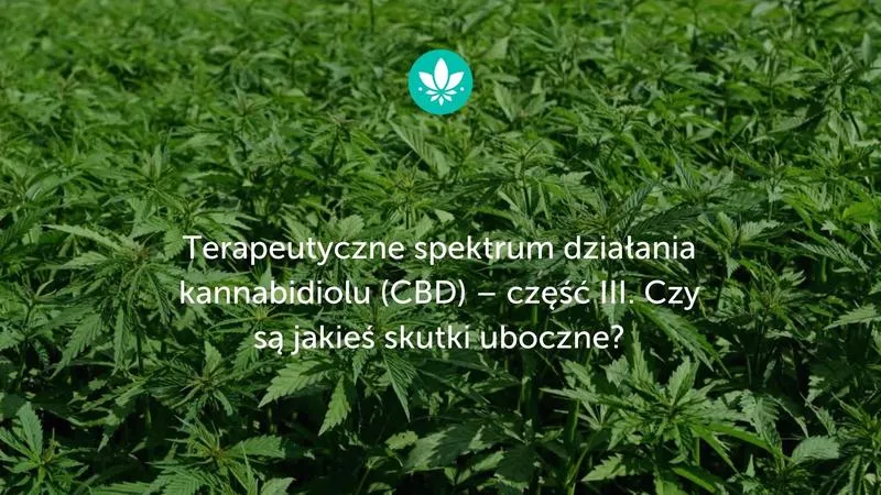 Czas działania CBD i efekty