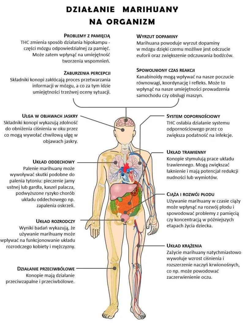 Dawkowanie CBD i optymalizacja efektów