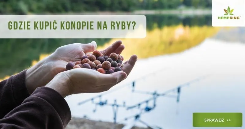 Gdzie kupić konopie na ryby