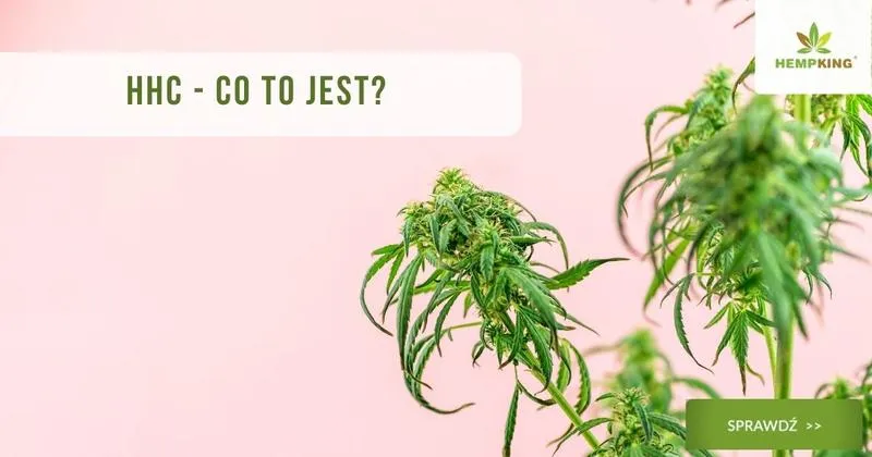 HHC a THC