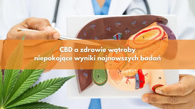 Interakcje CBD z lekami