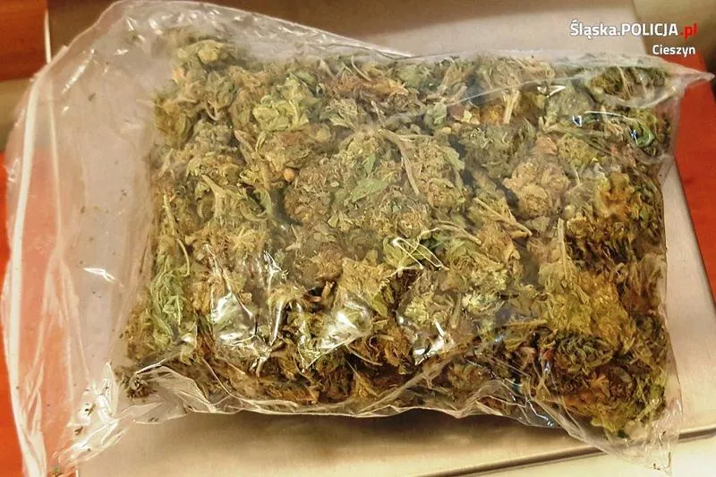 Legalne źródła THC