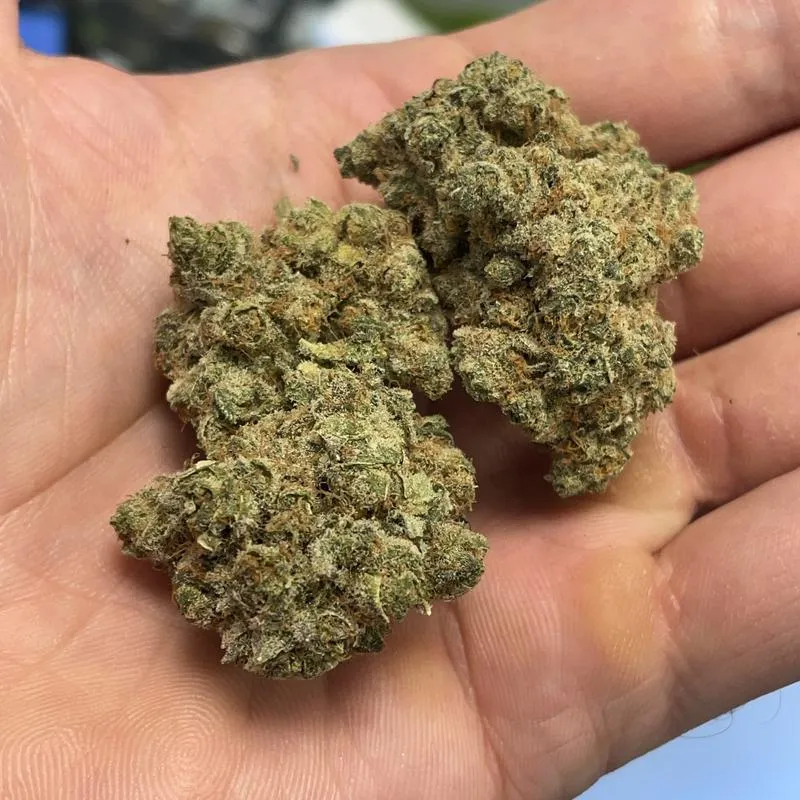 Poprawa samopoczucia z CBD