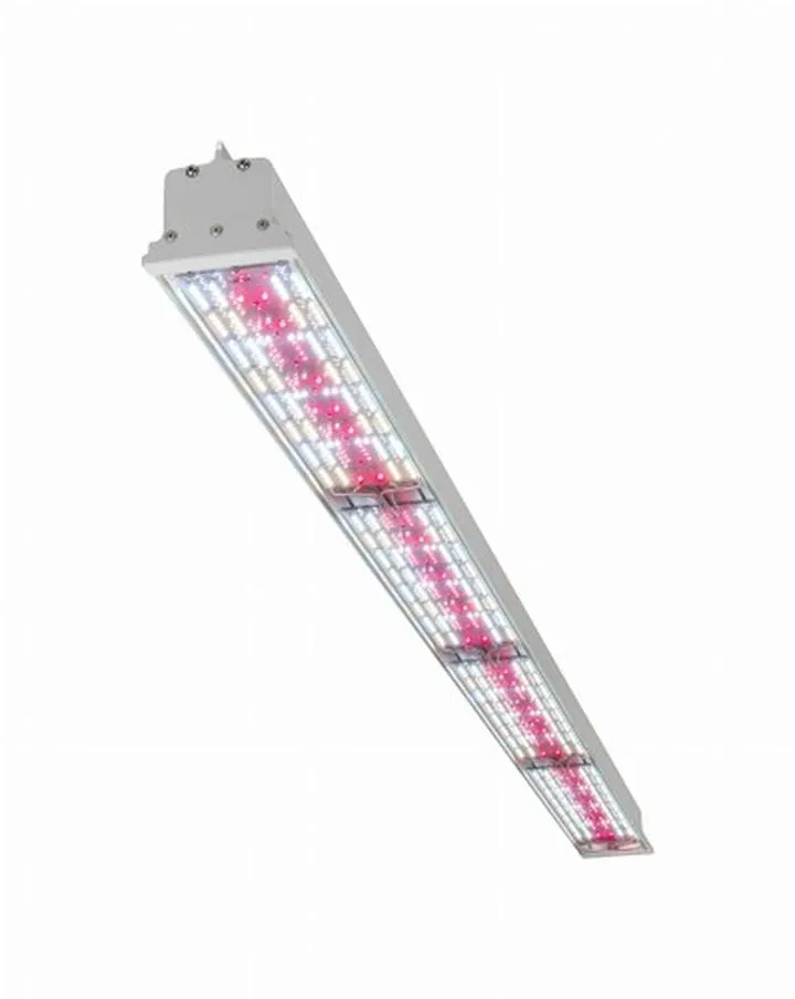 Porównanie LED HPS CFL