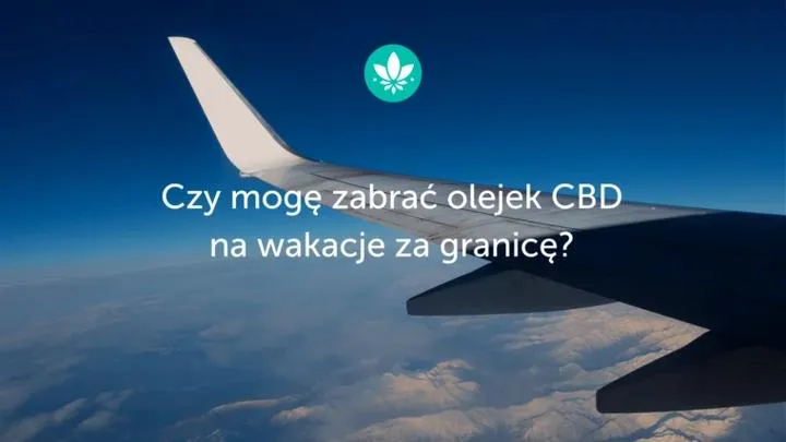 Przewóz CBD za granicę