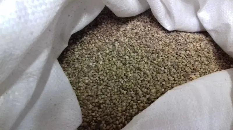 Przygotowanie konopi wędkarskich do łowienia