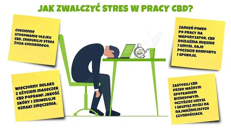 Wpływ CBD na wydajność pracownika