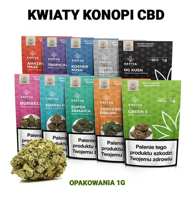 Wybór lokalizacji sklepu CBD