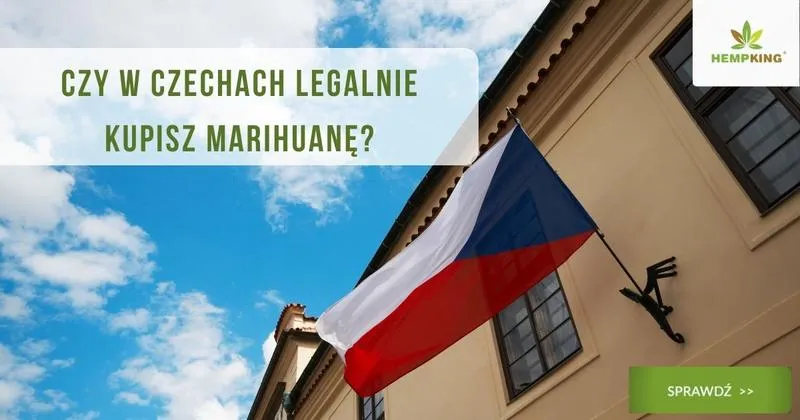 Zakup THC w Czechach