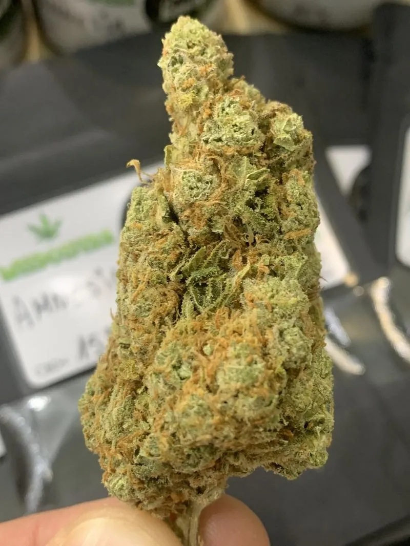 Zdrowotne korzyści CBD